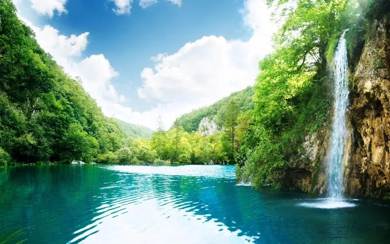 网络化独特智慧城市